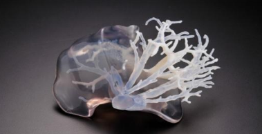 苏州3D打印如何彻底革新传统医疗