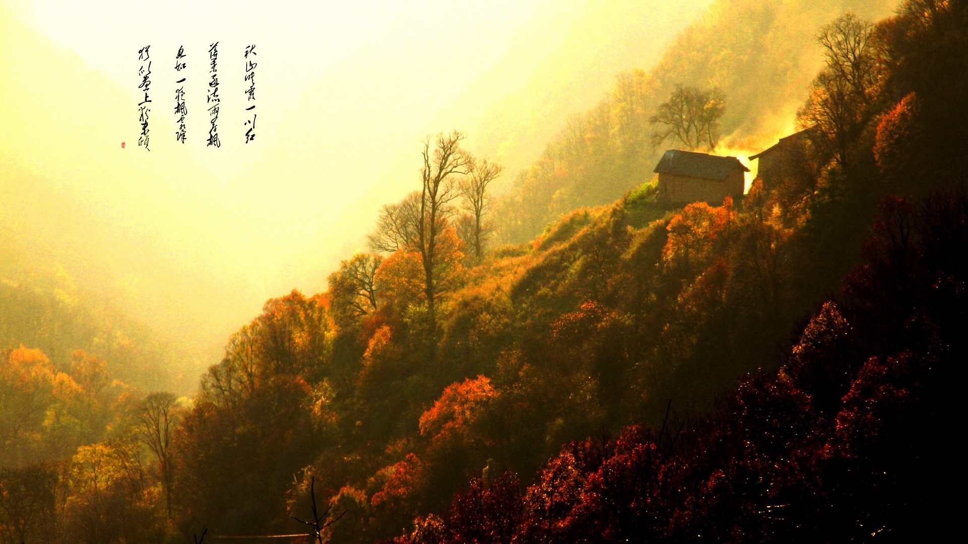 關(guān)山草原圖集