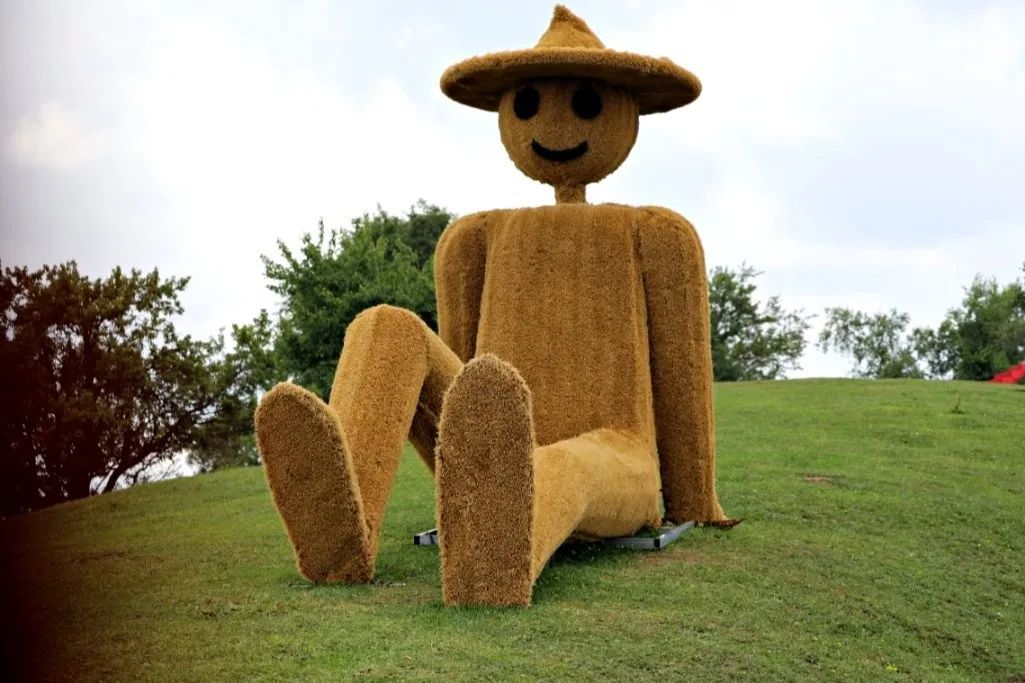 关山草原环线必打卡！解锁宫崎骏同款治愈系草原秘境