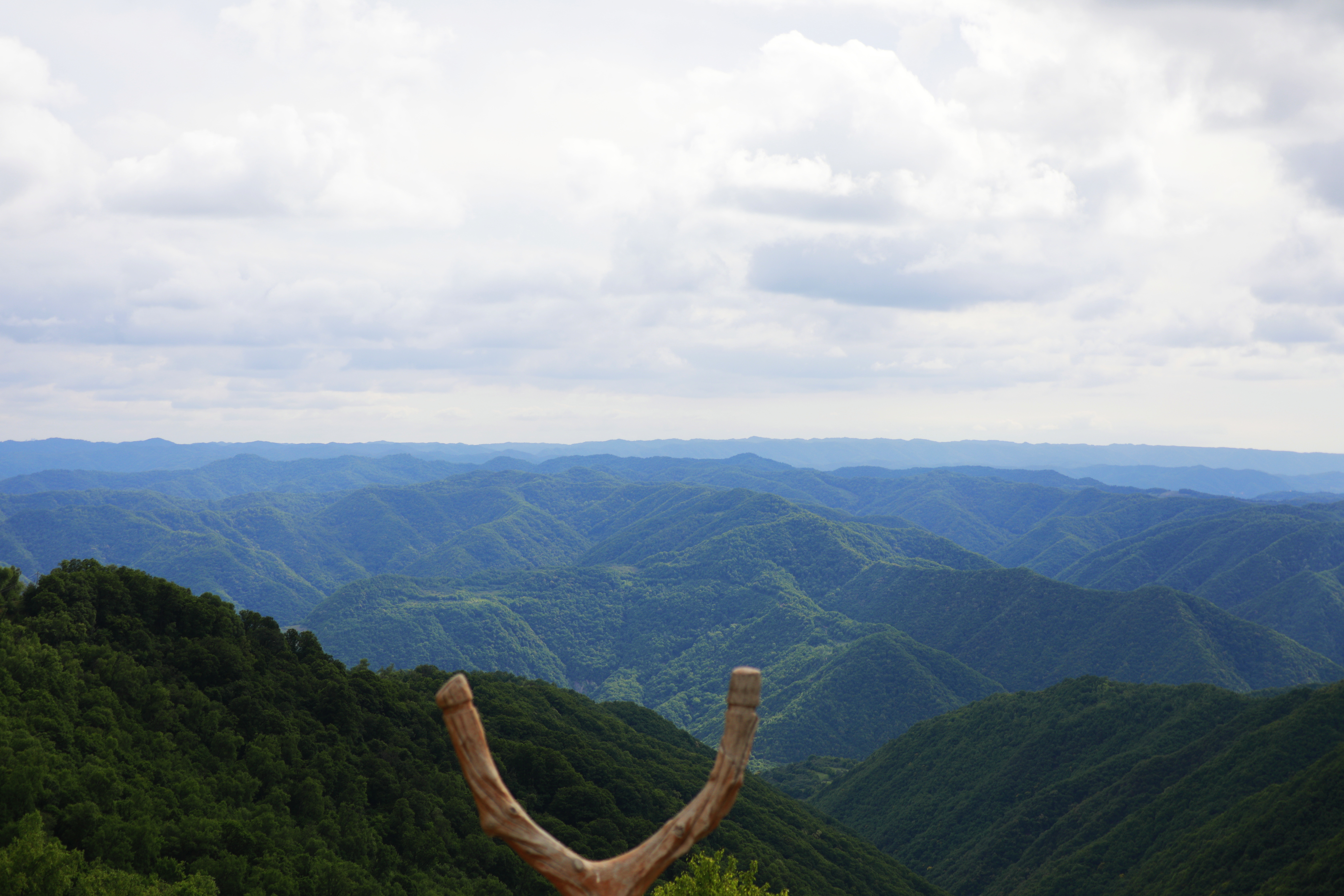 周末逃离城市燥热，来关山草原享受清凉！