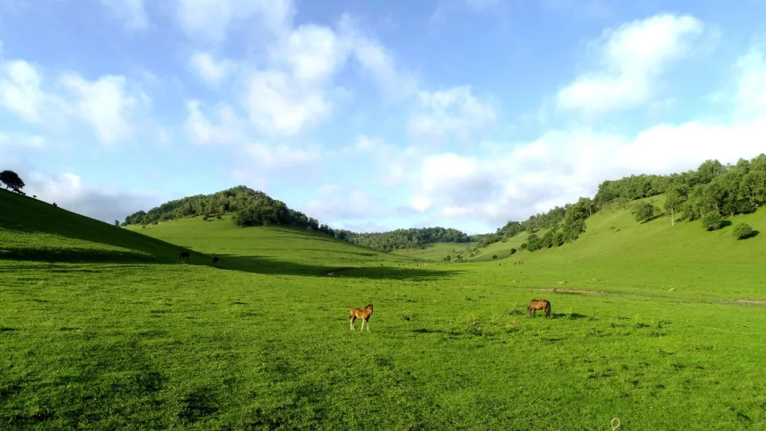 安全是美好旅程的起点 —— 关山草原安全生产月温馨提示与实用安全旅游指南