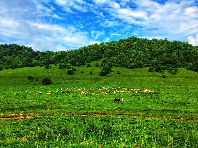 夏日的周末，夢(mèng)是青草香——關(guān)山牧場(chǎng)周末游