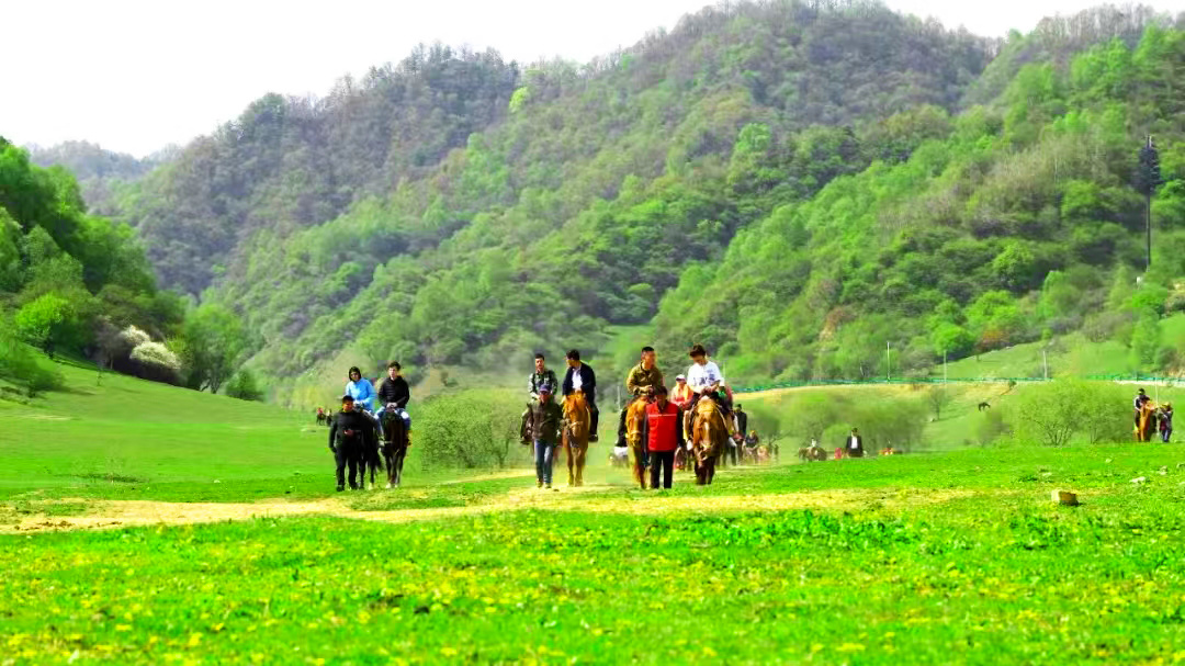 馭馬逐風(fēng)，解鎖你的草原騎士夢
