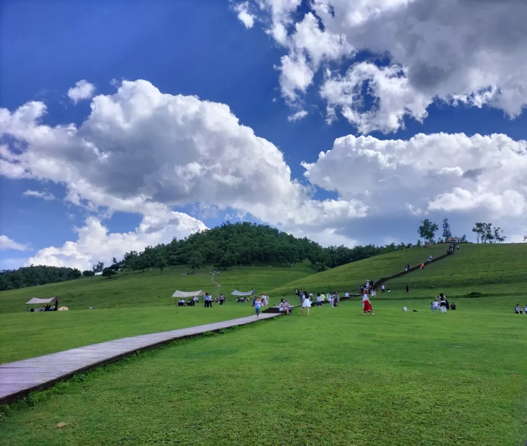 逃離37°C！去看藏在關(guān)山草原21°C的遼闊綠海