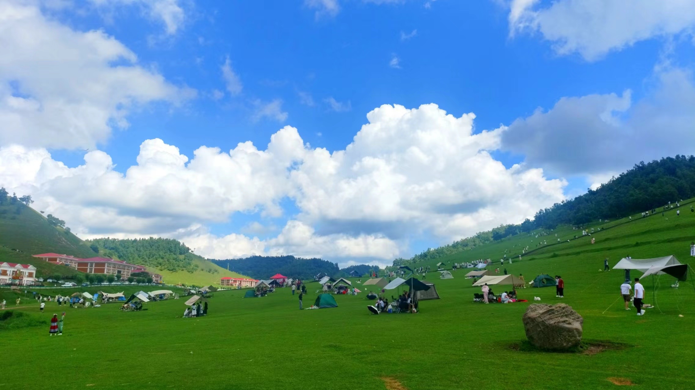 暑期告急！趕緊來關山草原開啟一場初秋之旅吧~