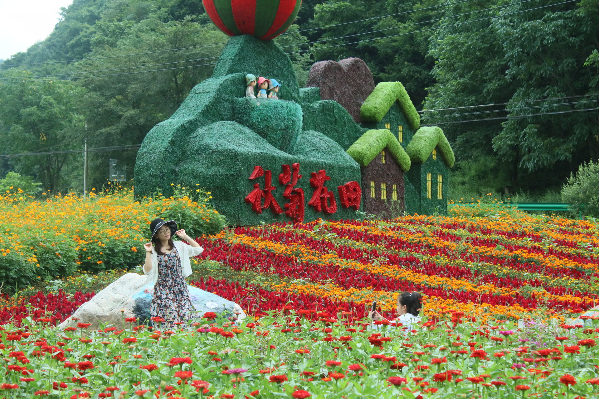 游关山草原，打卡秋菊花田！