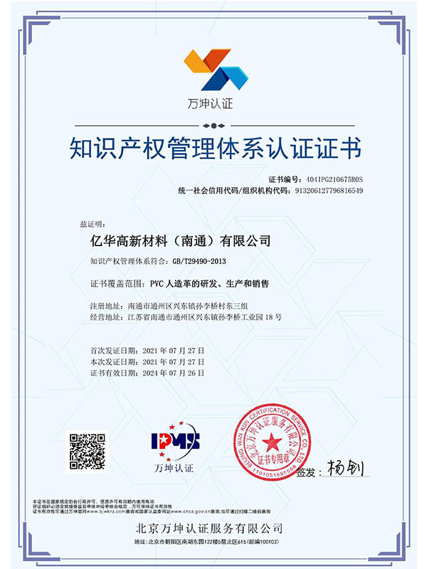 Intellectual Property Standards 2021 (Chinese)