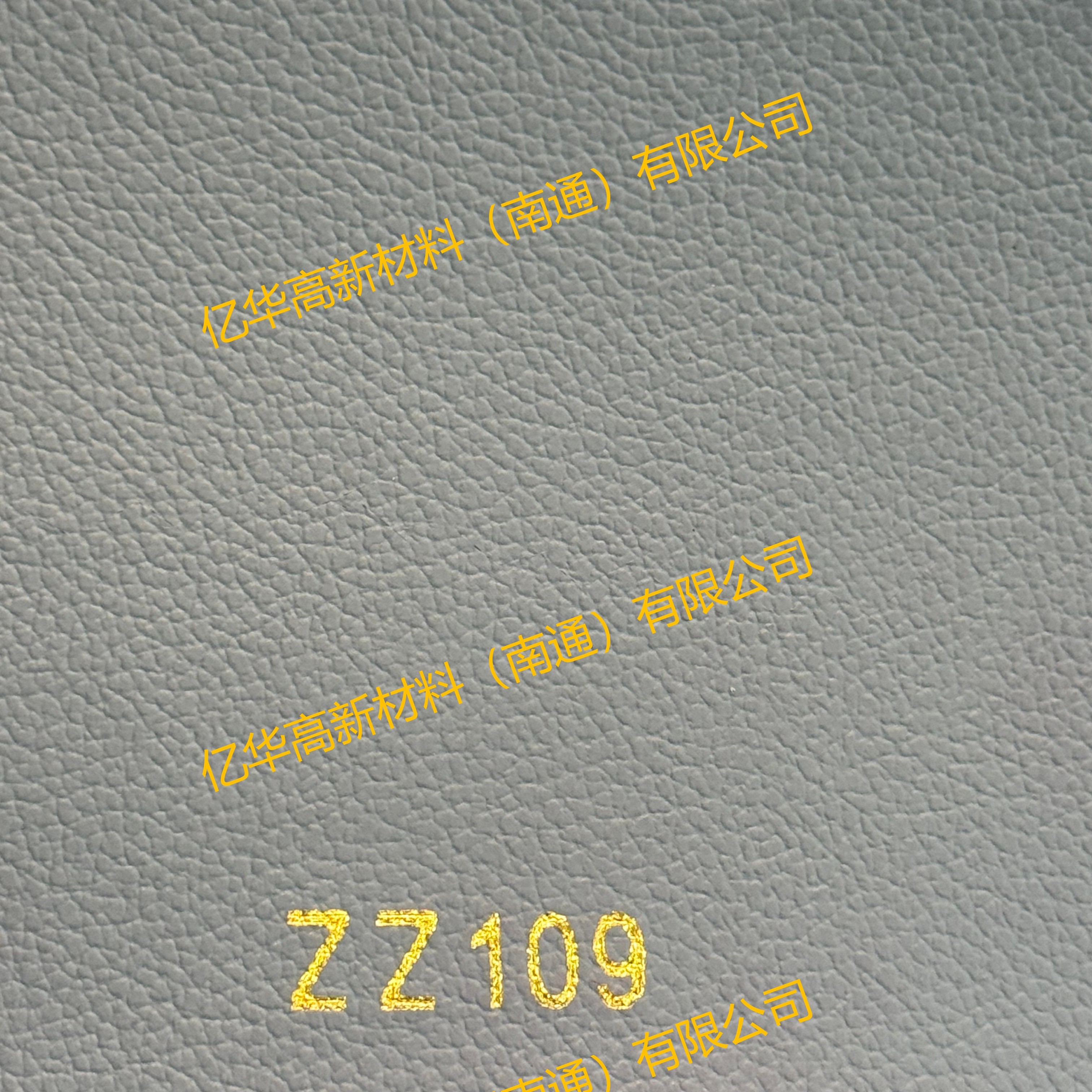 ZZ109