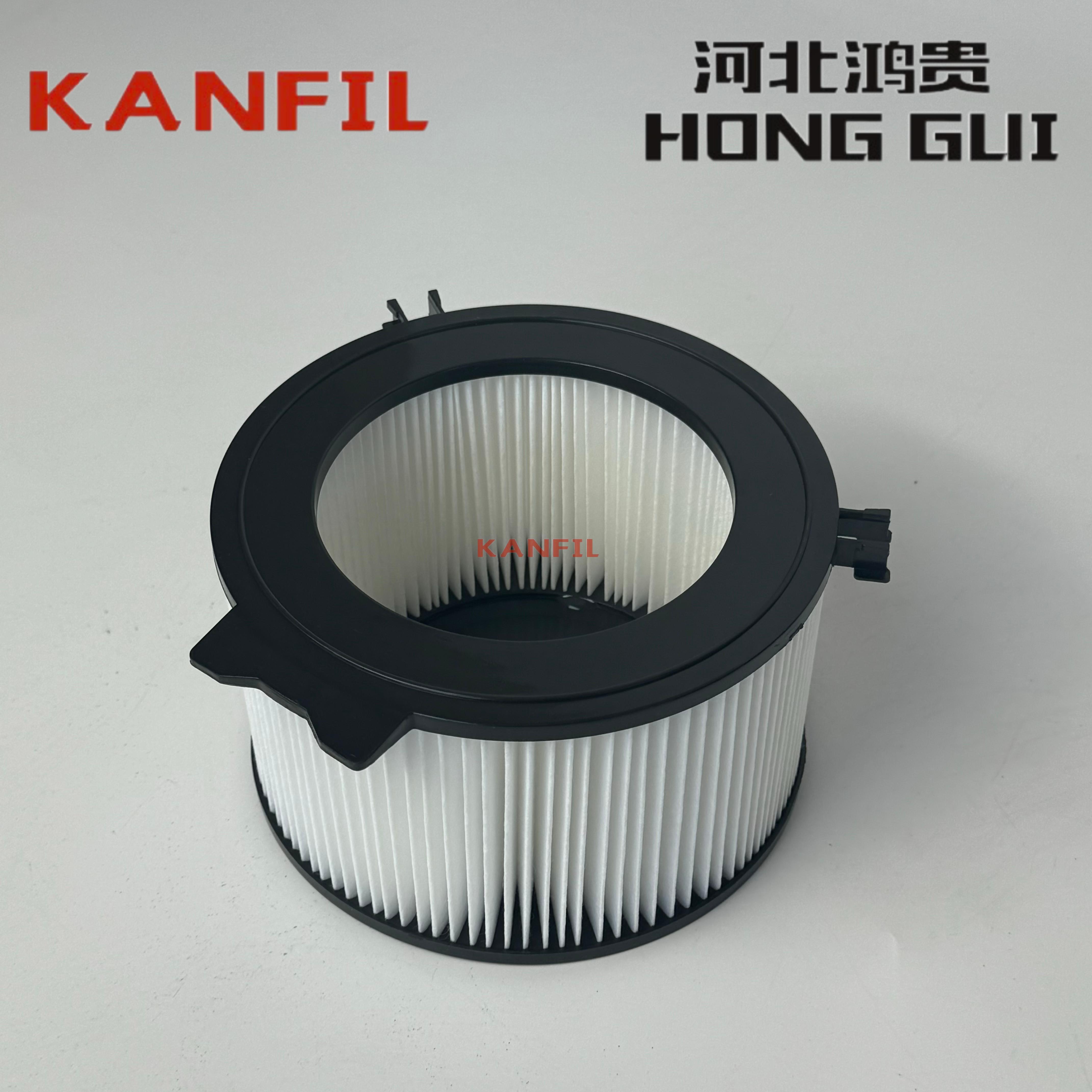 大众汽车701815915C车厢过滤器