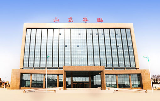 Shandong Huapeng Glass Co., Ltd.