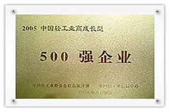 Top 500 Companies