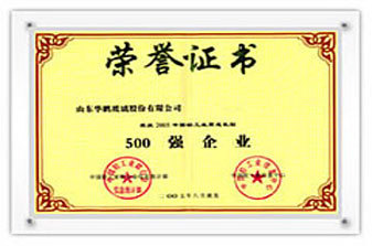 500強(qiáng)企業(yè)