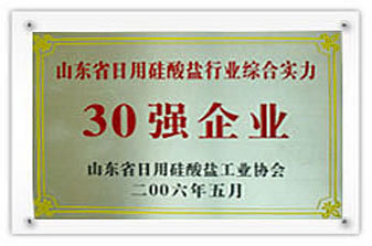 30強(qiáng)企業(yè)