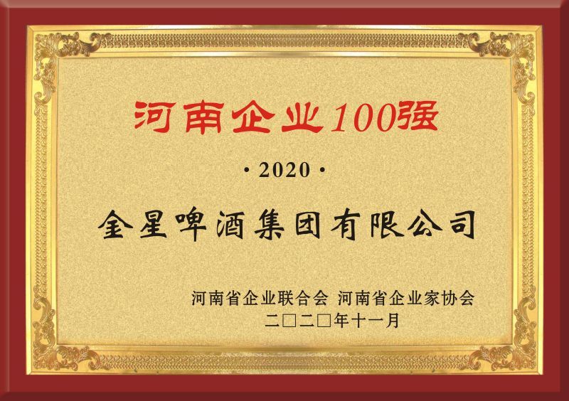 2020年荣获河南企业100强