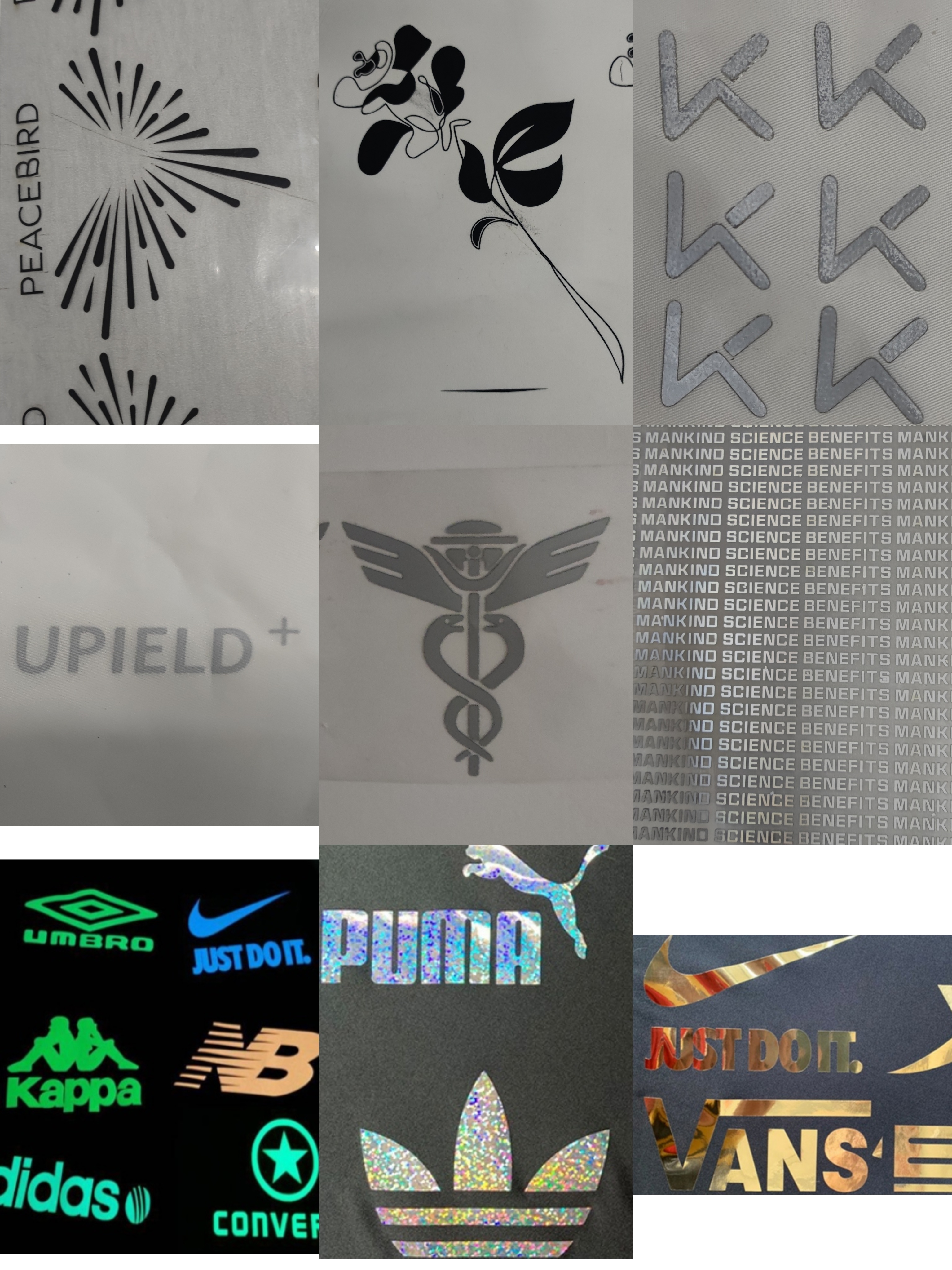 展览