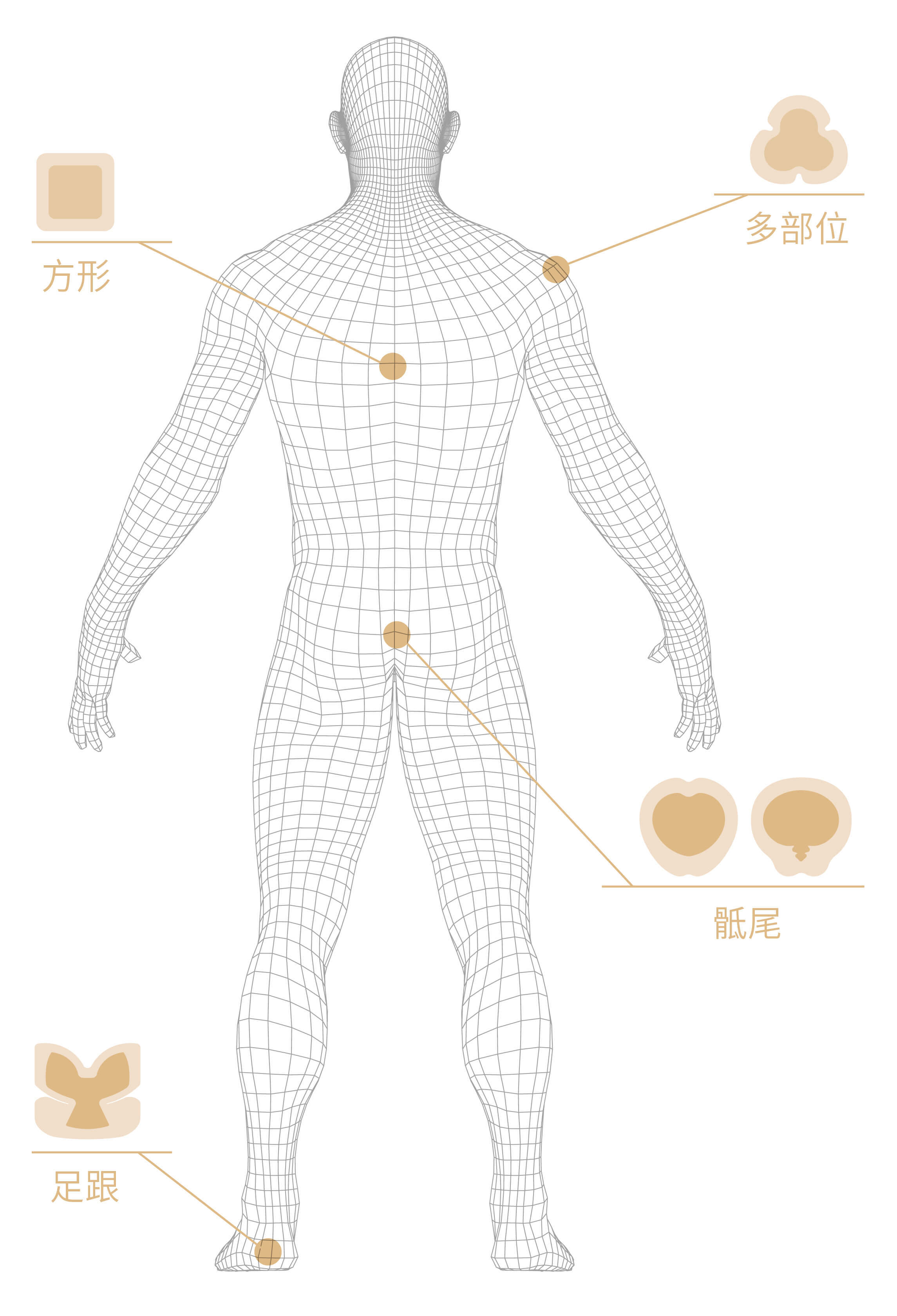 思利康 思利康