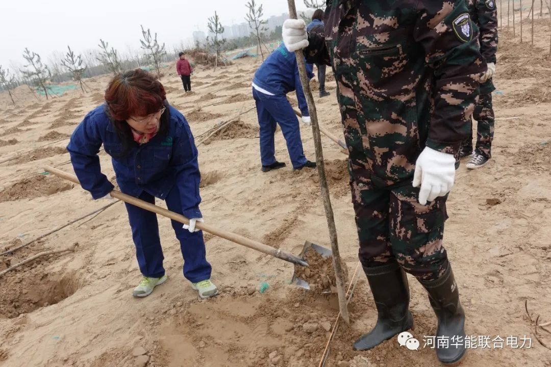 十年樹木,百年樹人 — 記河南華能聯合電力建設有限公司
