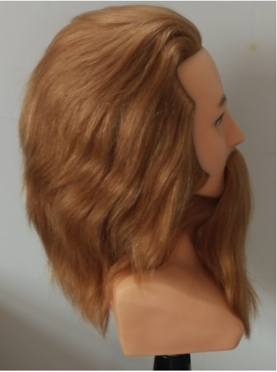 traning head