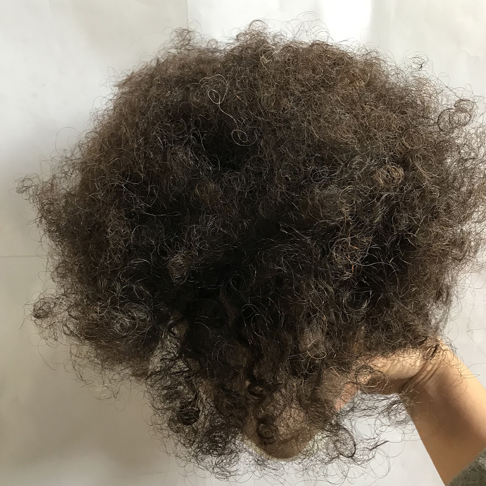 Curly human hair traning head