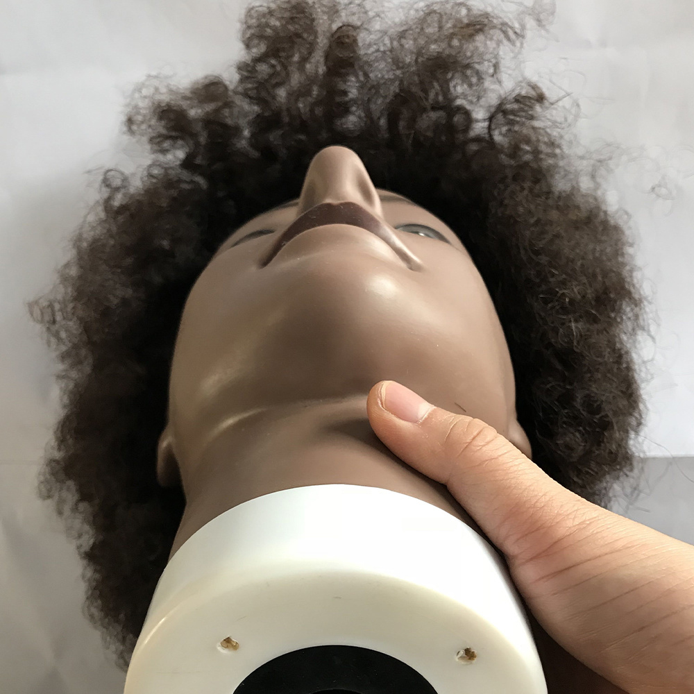 Curly human hair traning head