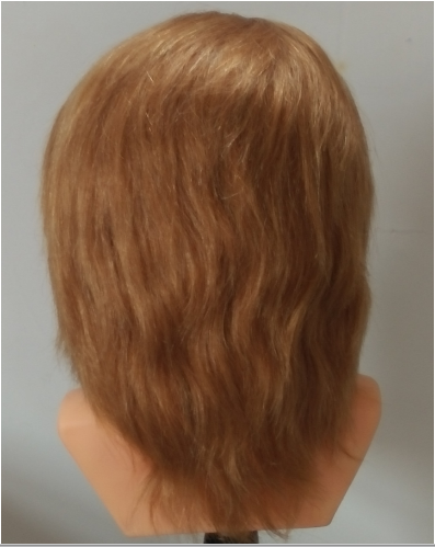 traning head