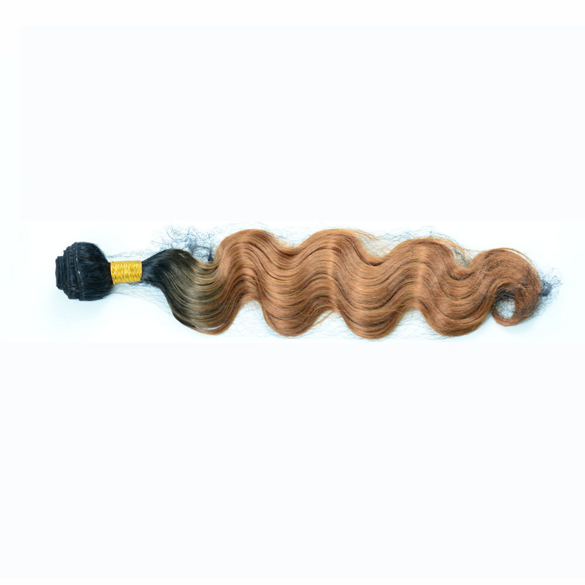 Body wave T1B30