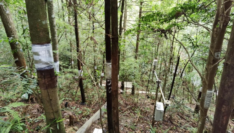 植物莖桿液流監(jiān)測系統(tǒng)