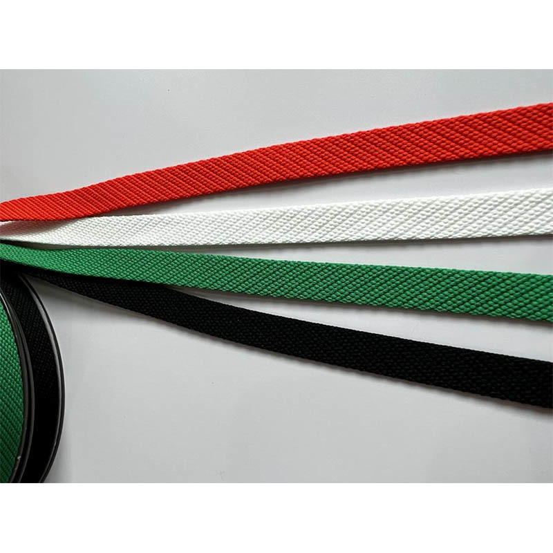 Shoelace