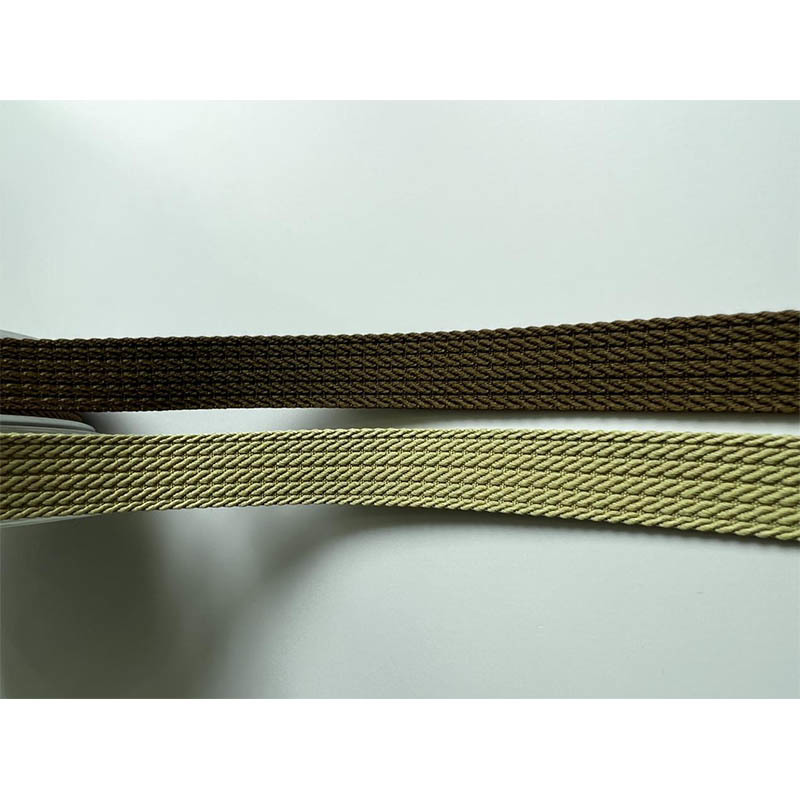 Shoelace