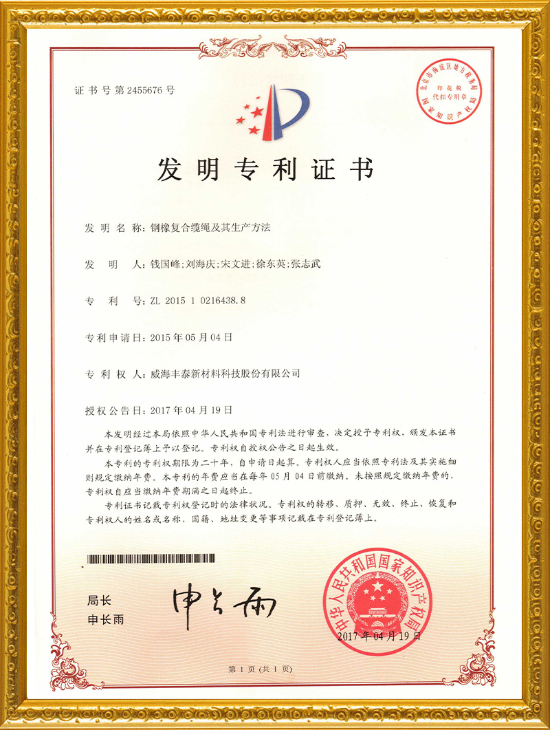 鋼橡復(fù)合纜繩及其生產(chǎn)方法-有效 鋼橡復(fù)合纜繩及其生產(chǎn)方法-有效