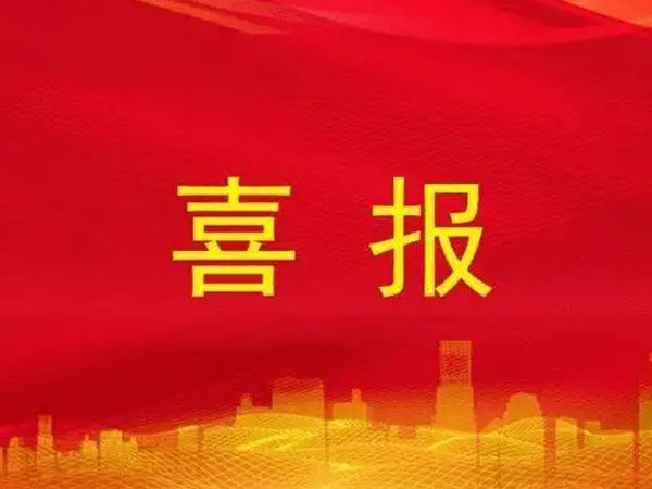 榮獲2020年度山東省瞪羚、獨角獸企業(yè)
