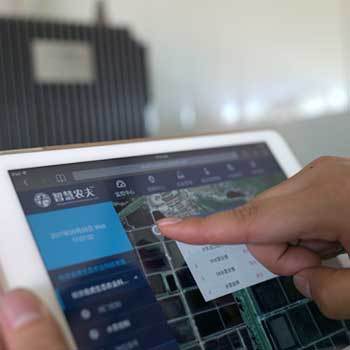 家庭农庄合作社模式