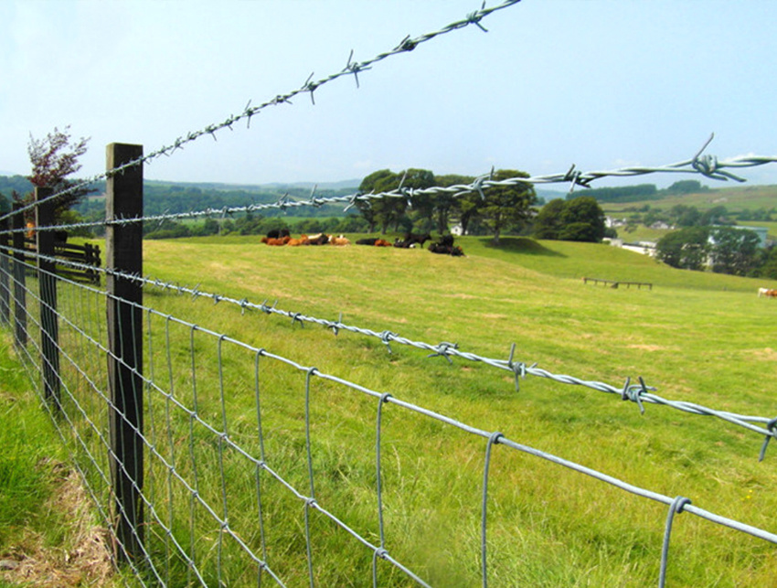 Забор из травы