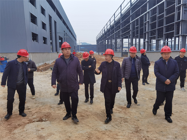 盐亭县委副书记、县长卢昊一行莅临新庚晨产业园调研项目建设进展