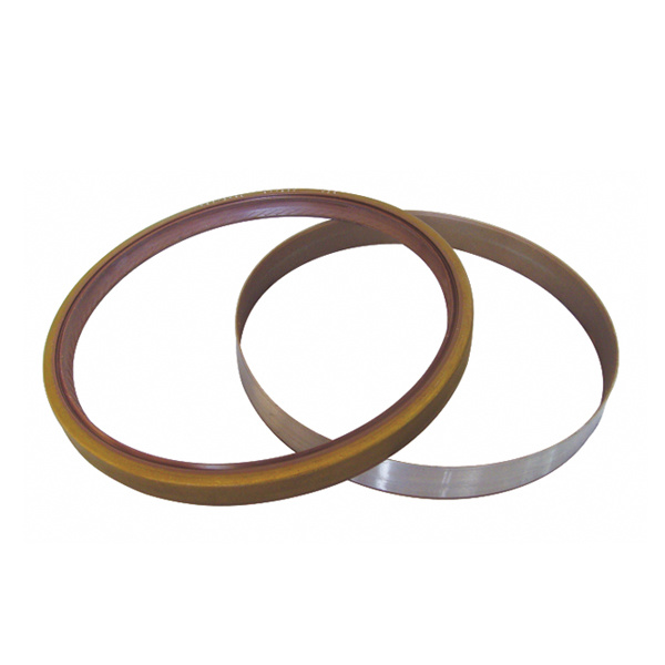Oil Seal
