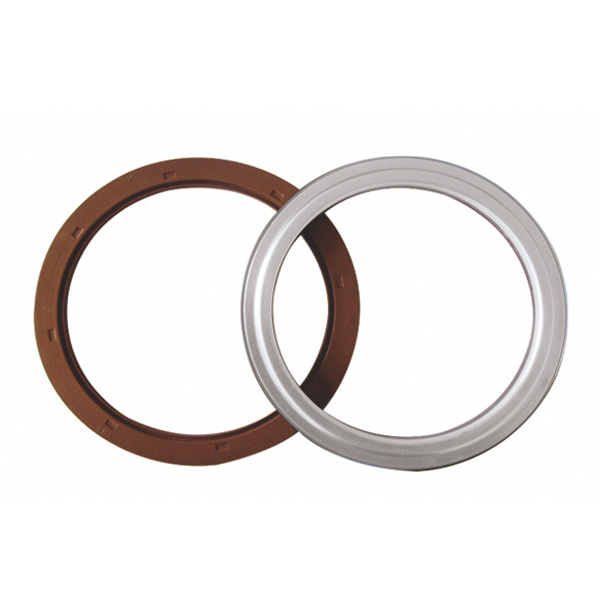Oil Seal