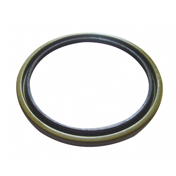 Oil Seal