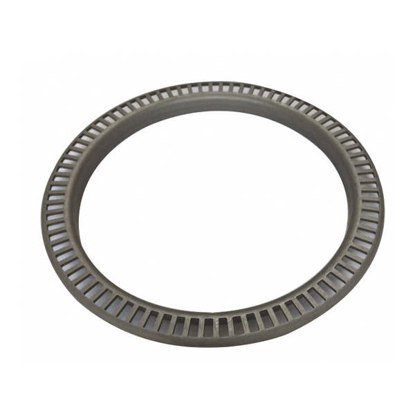 Oil Seal