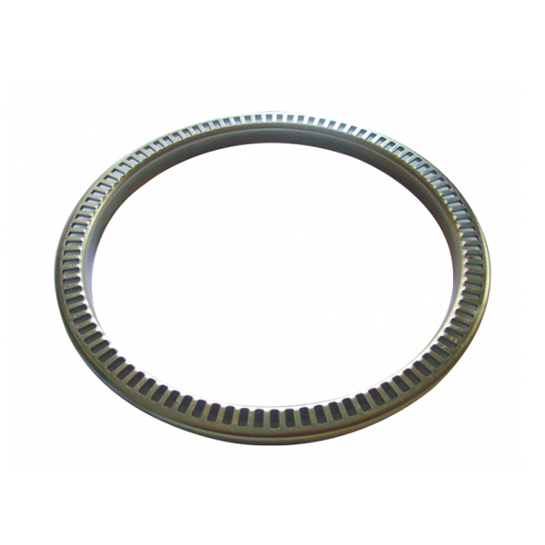 Oil Seal