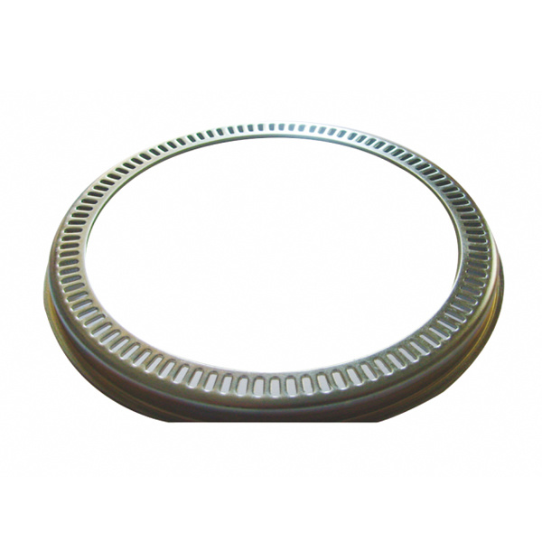 Oil Seal