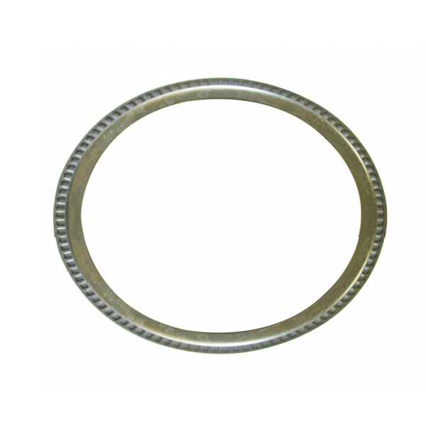 Oil Seal