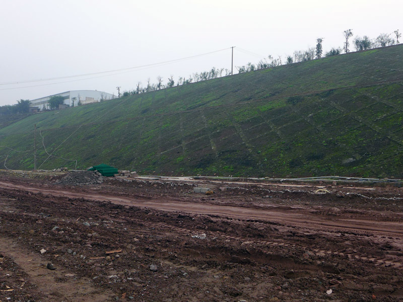 重庆市现代农业开发园区狮干山道路边坡整治工程施工