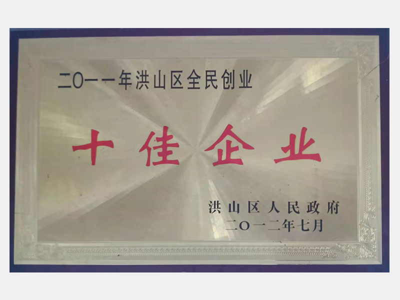 十佳企業(yè)