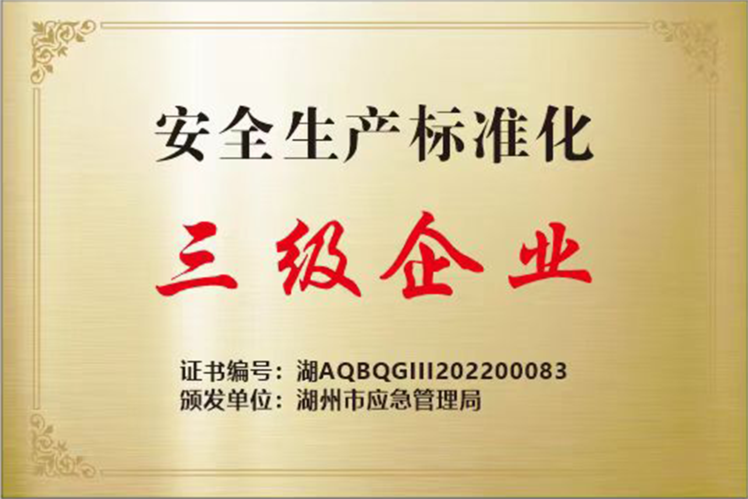 Third level enterprise for safety production standardization Third level enterprise for safety production standardization