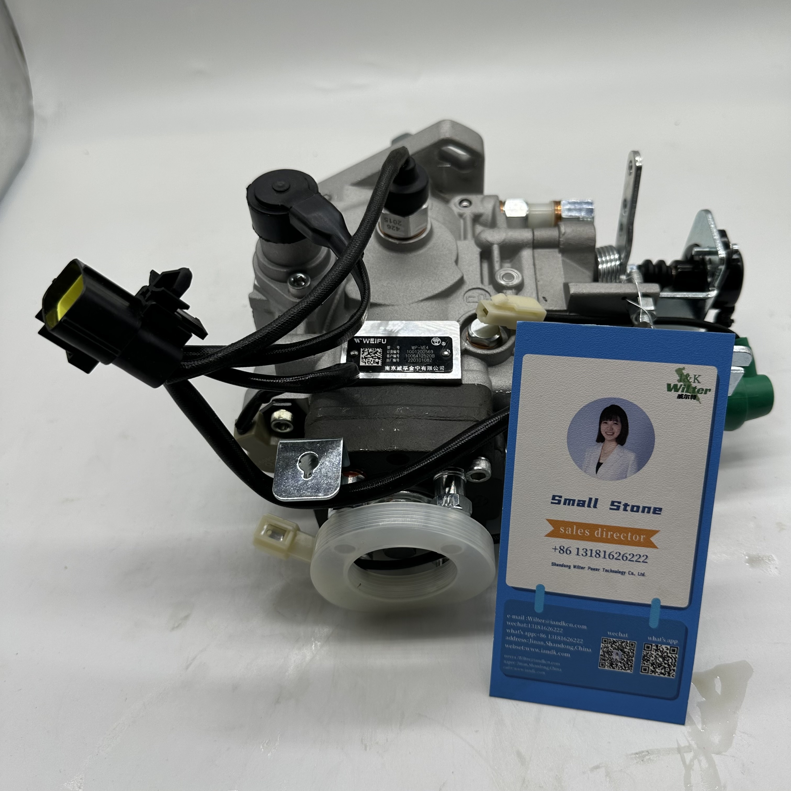 Diesel pump 1001200569