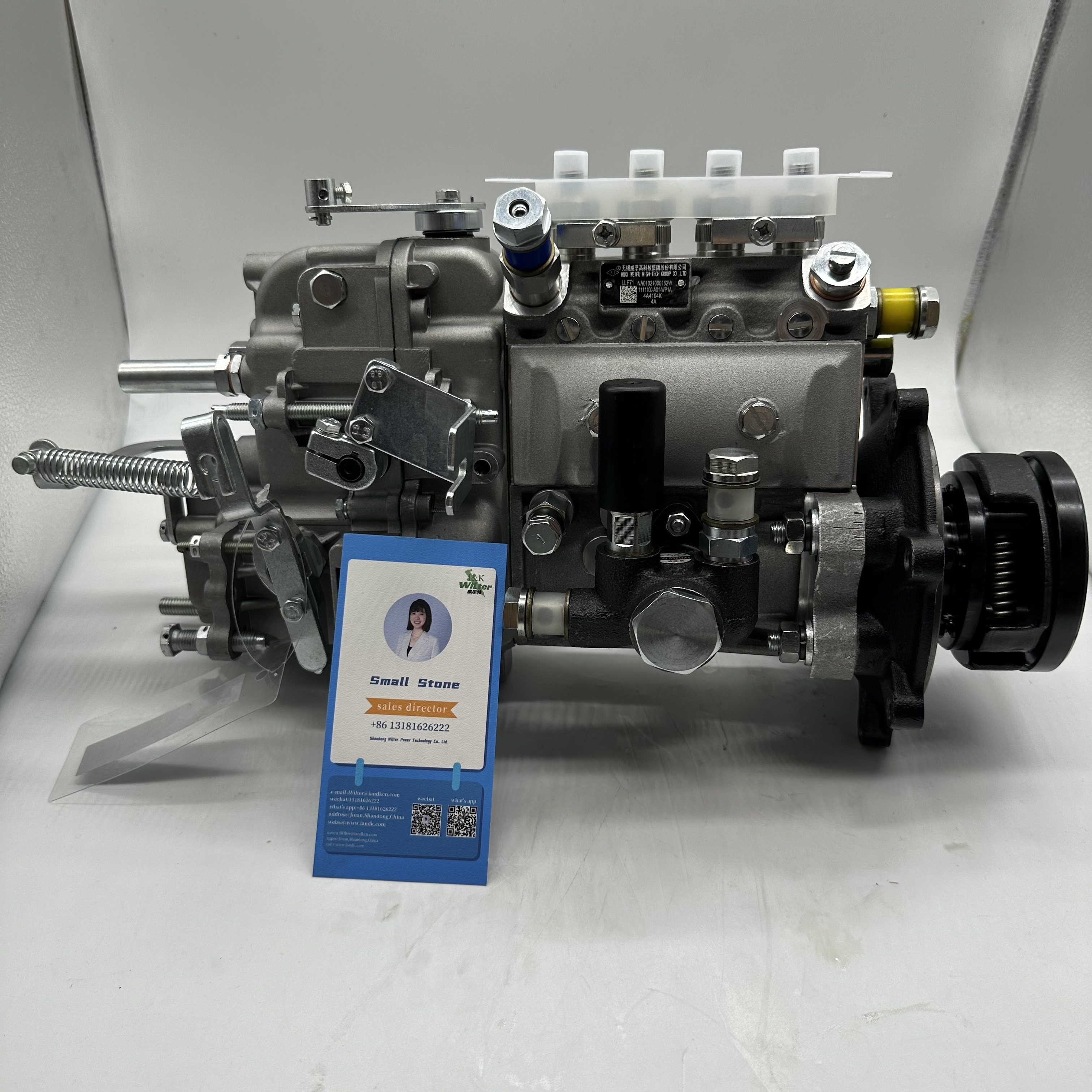 Diesel pump 1111100-AD1-WP1A