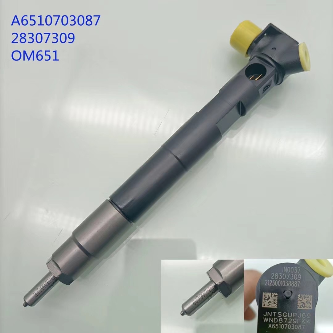 Delphi common rail injector A6510703087