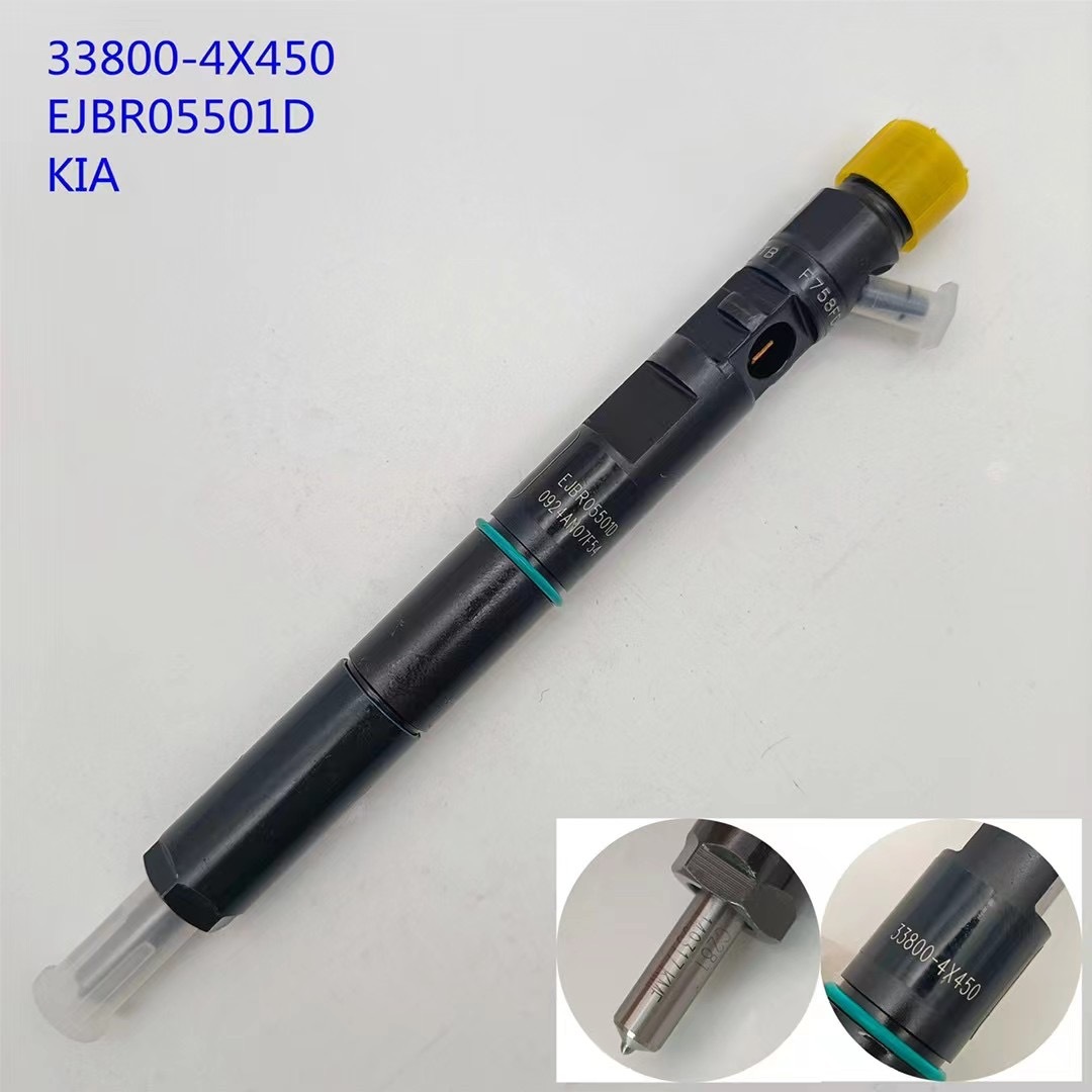 Delphi common rail injector 33800-4X450