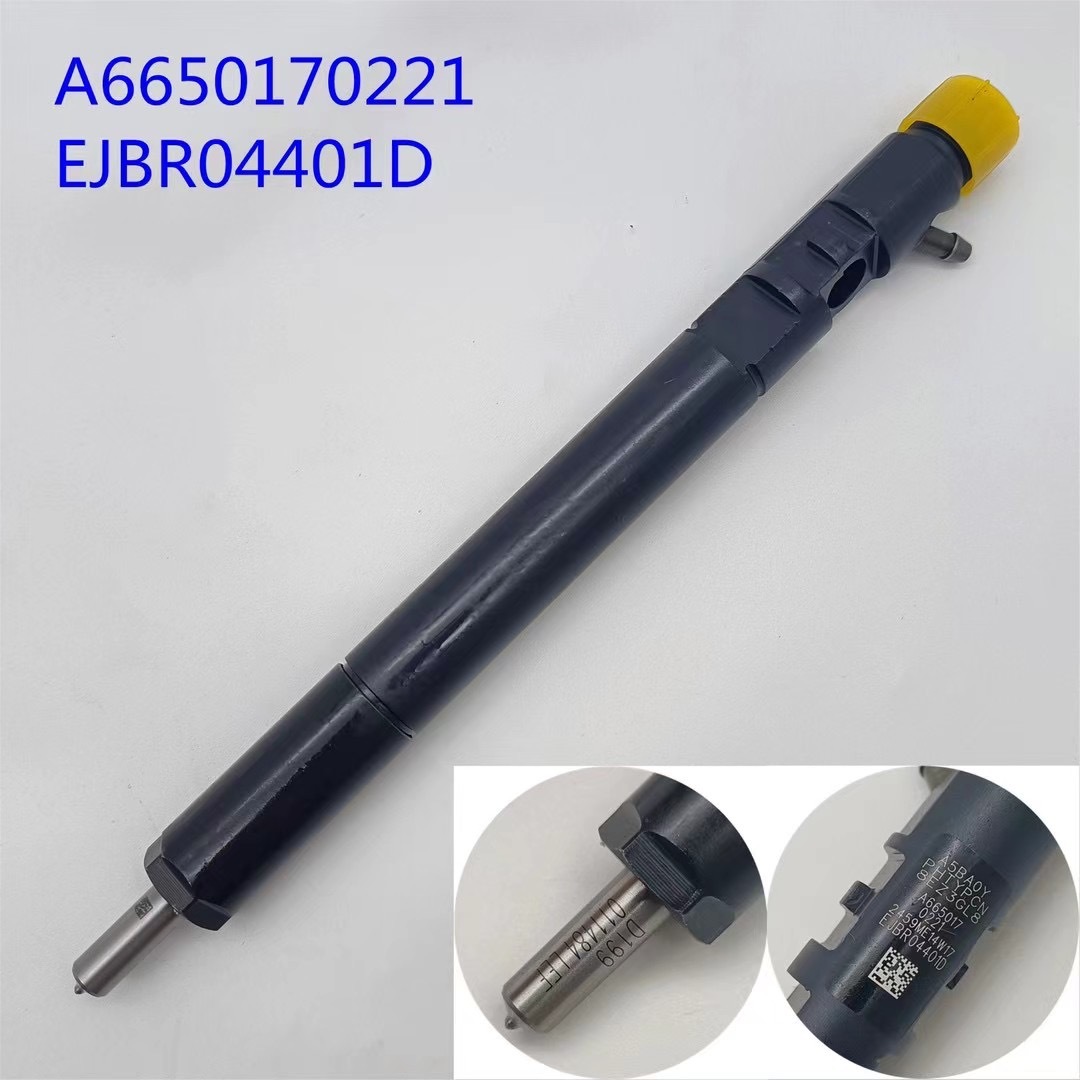 Delphi common rail injector A6650170221