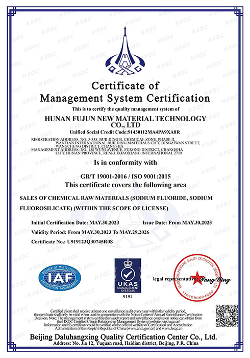 ISO Management System Certification